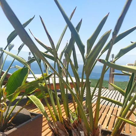 Appartement Penthouse La Palmita - Tazacorte, La Palma *
